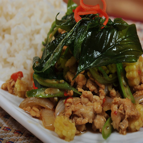Minced chicken with spicy basil